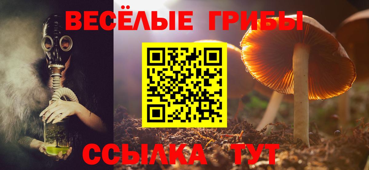 Джанкой  Псилоцибиновые грибы Cubensis  Вход с VPN  Псилоцибиновые грибы Psilocybine cubensis 